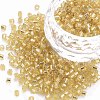 8/0 Glass Bugle Beads SEED-S032-07A-22B-1