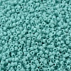 MIYUKI Delica Beads SEED-X0054-DB1136-3