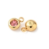 304 Stainless Steel Charms STAS-Z115-01G-07-2