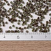 MIYUKI Delica Beads SEED-X0054-DB1710-3