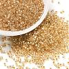 Cylinder Seed Beads SEED-H001-G04-1