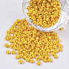 FGB 8/0 Grade A Round Glass Seed Beads SEED-S030-425-1