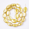AB Color Freshwater Shell Beads Strands X-SHEL-S274-39D-2