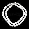 Electroplate Opaque Column Glass Beads Strands EGLA-A043-02-AB03-2