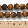 Frosted Natural Tiger Eye Beads Strands X-G-Q177-A01-01-5