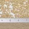 MIYUKI Delica Beads SEED-X0054-DB1571-4