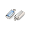 304 Stainless Steel Charm STAS-L022-242P-13-2