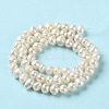 Natural Cultured Freshwater Pearl Beads Strands PEAR-E018-51-3