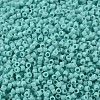 MIYUKI Delica Beads SEED-MY11-DB1136-1