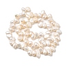 Natural Cultured Freshwater Pearl Beads Strands PEAR-I007-03B-01A-3