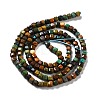 Natural HuBei Turquoise Beads Strands G-D467-A02-2