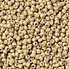 TOHO Round Seed Beads X-SEED-TR08-PF0557F-2