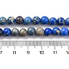 Dyed Natural Regalite/Imperial Jasper/Sea Sediment Jasper Beads Strands G-B124-C02-01-3