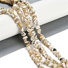 Natural Trochus Shell Beads Strands BSHE-H109-10-2