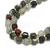 Natural Africa Bloodstone Beads Strand G-I376-D75-01-3