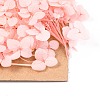 Dried Flower DIY-B018-09-2