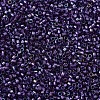 MIYUKI Delica Beads SEED-X0054-DB1756-3
