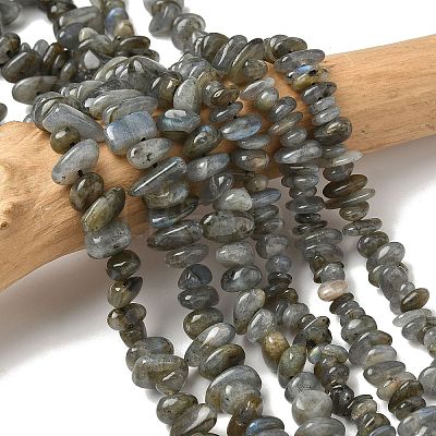 Natural Labradorite Beads Strands G-I225-15A-1