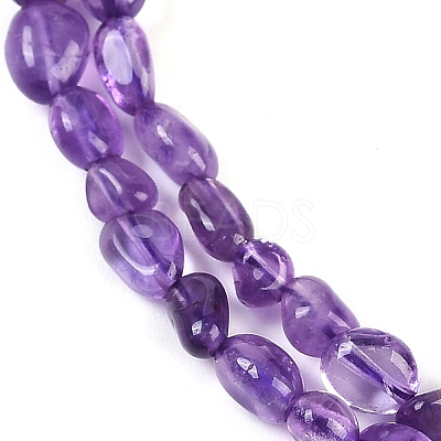 Natural Amethyst Beads Strands G-P497-01B-19-1