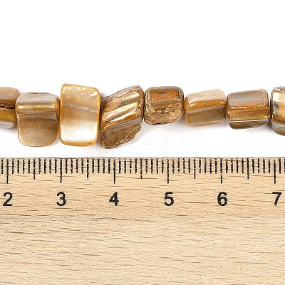 Dyed Natural Freshwater Shell Beads Strands SHEL-P016-01A-1