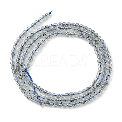 Natural Labradorite Beads Strands G-Z034-B04-01-1