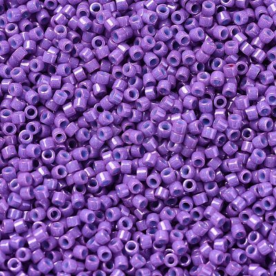 MIYUKI Delica Beads X-SEED-J020-DB0660-1
