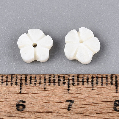Natural Freshwater Shell Carved Beads SHEL-N038-36-1