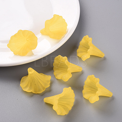 Transparent Acrylic Beads BSF796-C09-1