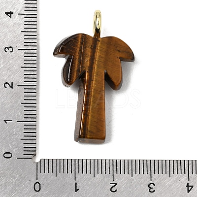 Natural Tiger Eye Carved Pendants G-C282-04C-1