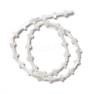 Natural Trochid Shell/Trochus Shell Beads SSHEL-O0001-22A-1