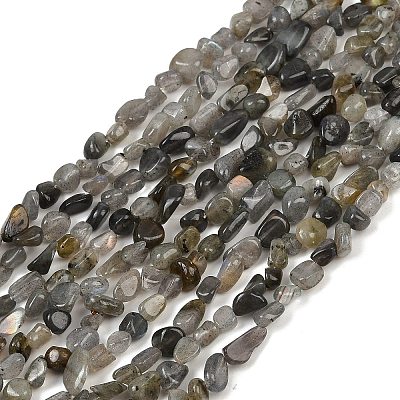 Natural Labradorite Beads Strands G-Q060-D02-1