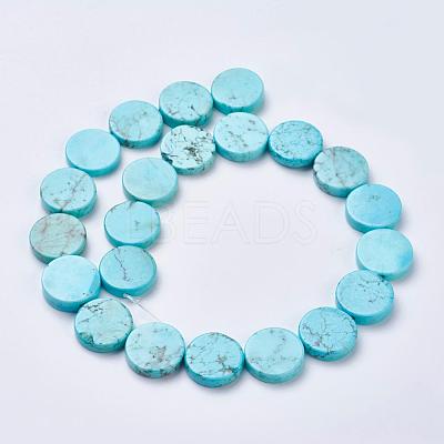 Natural Magnesite Beads Strands TURQ-K003-16-1