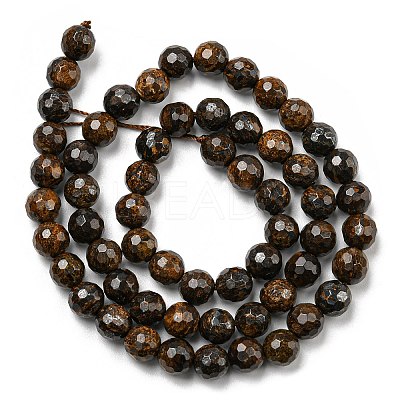Natural Bronzite Beads Strands G-E571-42A-1