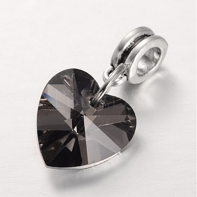 Large Hole Alloy European Dangle Charms PALLOY-JF00041-03-1