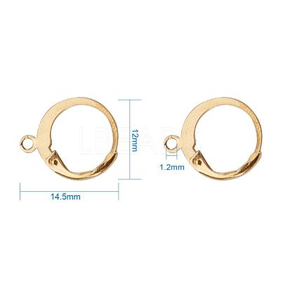 304 Stainless Steel Leverback Earring Findings STAS-G081-62G-1