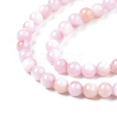 Natural Freshwater Shell Beads Strands X-BSHE-T009A-01C-1