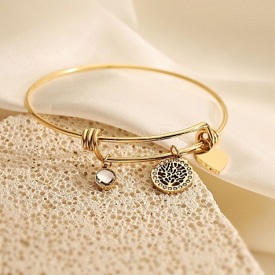 Stainless Steel Micro Pave Cubic Zirconia Charm Bangles PW-WG9247A-01-1