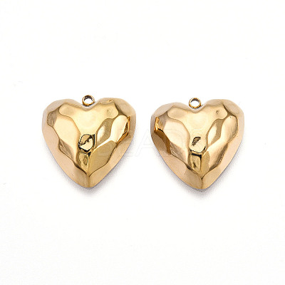 304 Stainless Steel Pendants STAS-N109-04G-1