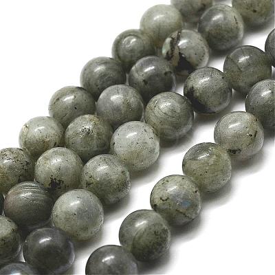 Natural Labradorite Bead Strands G-P256-01-6mm-1