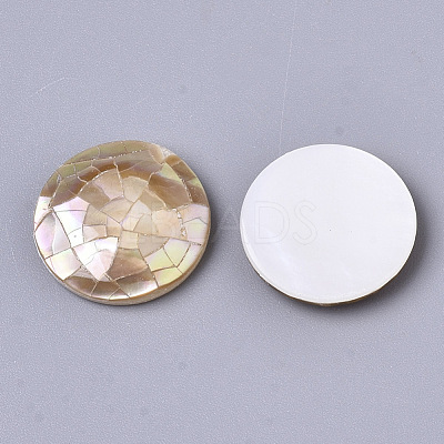 Natural Sea Shell Cabochons SSHEL-N034-44-1
