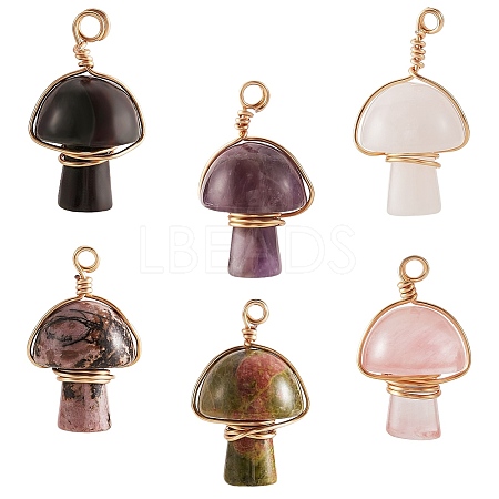 6Pcs 6 Style Natural Mixed Gemstone Pendants G-SZ0001-88-1