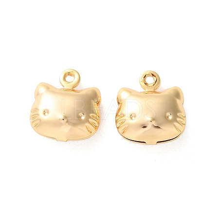 Brass Pendants KK-L221-017G-1