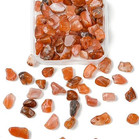 50G Natural Carnelian Chip Beads G-YW0001-79-1