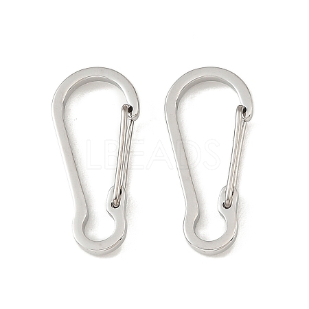 304 Stainless Steel Rock Climbing Carabiners STAS-F364-02P-01-1