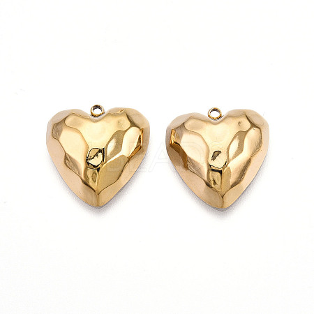 304 Stainless Steel Pendants STAS-N109-04G-1