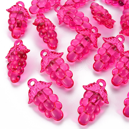 Autumn Theme Transparent Acrylic Beads TACR-S154-60B-906-1