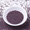 MIYUKI Delica Beads SEED-X0054-DB1012-2