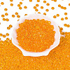Transparent Colours Glass Seed Beads SEED-Q042-01A-B03-2