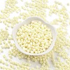 Baking Paint Glass Seed Beads SEED-A032-02I-2