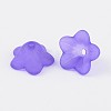 Transparent Acrylic Beads PL560-13-2